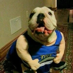 Meet your Posher, Noah